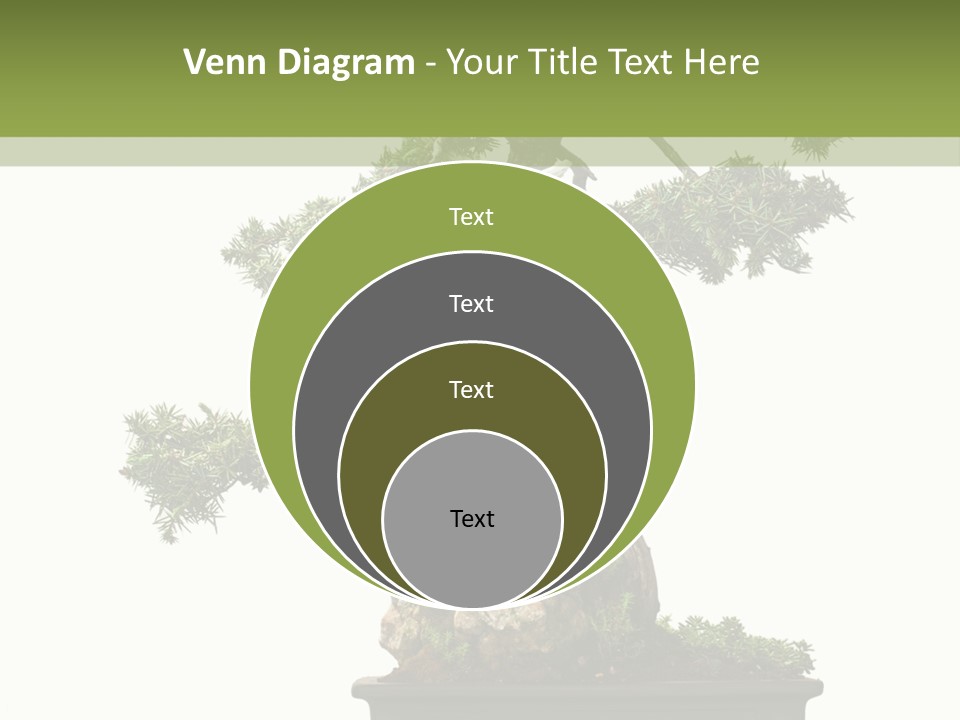 Bodhi Tree PowerPoint Template