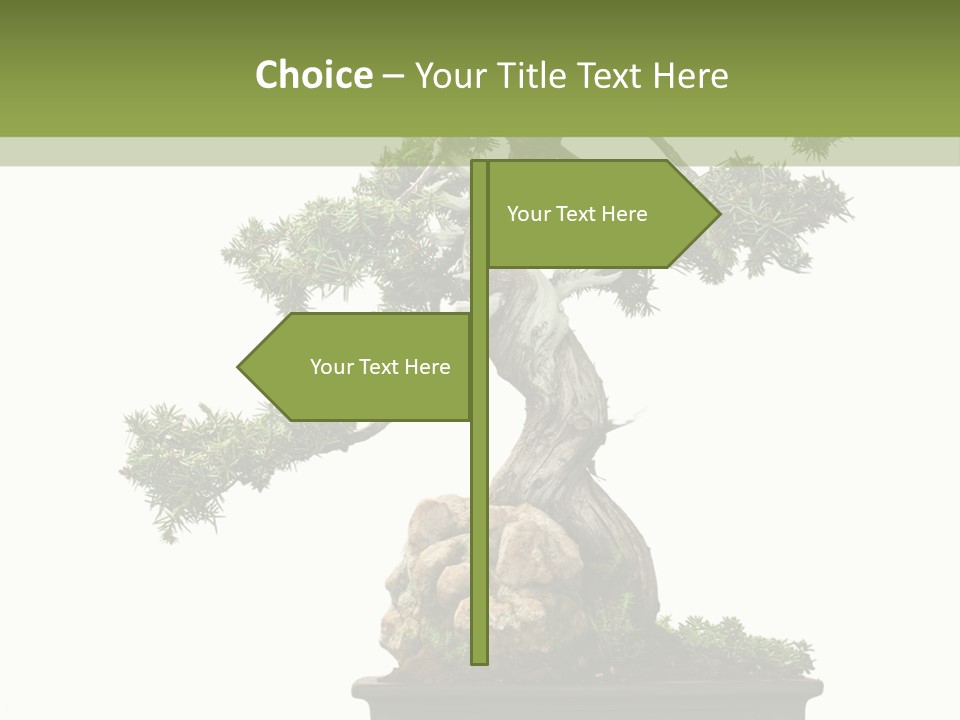 Bodhi Tree PowerPoint Template