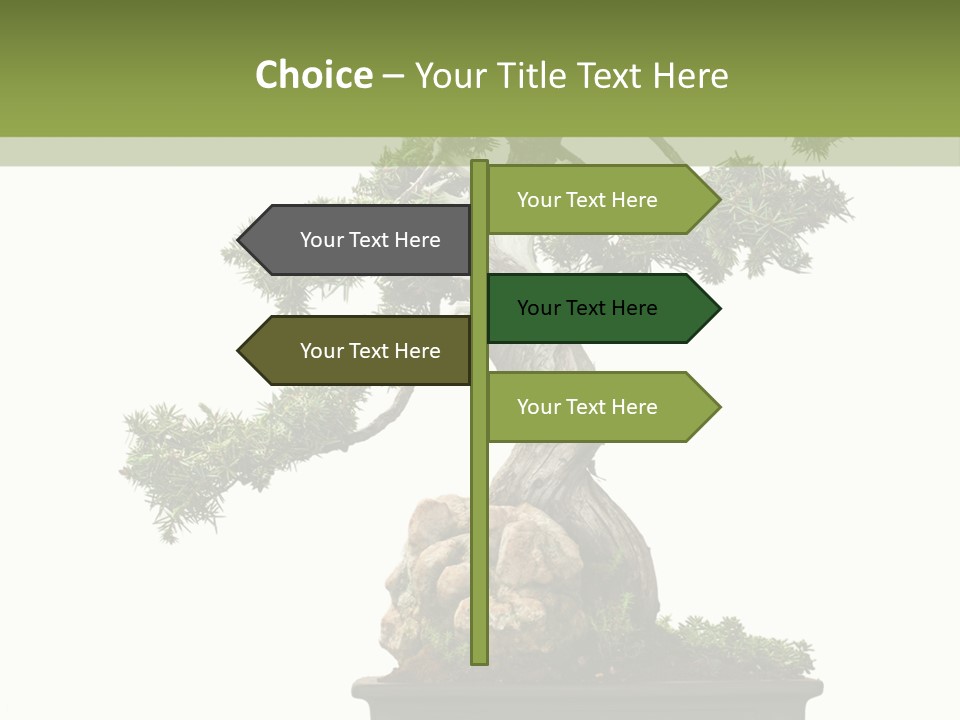 Bodhi Tree PowerPoint Template