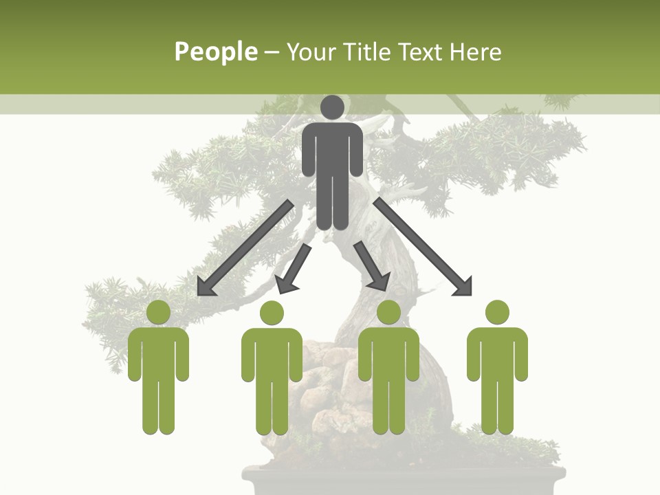 Bodhi Tree PowerPoint Template