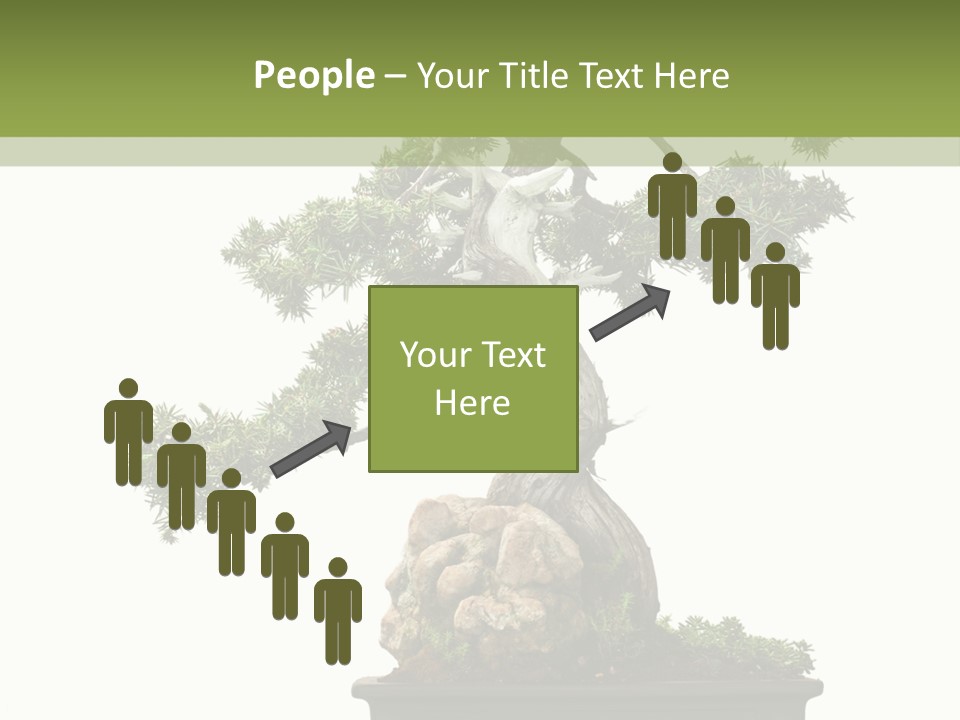 Bodhi Tree PowerPoint Template