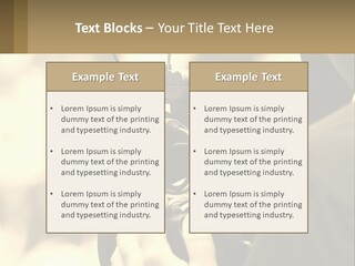 Cinematographer PowerPoint Template