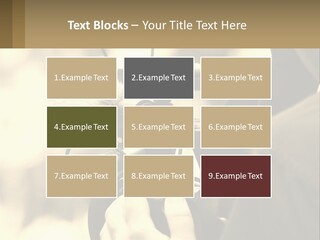 Cinematographer PowerPoint Template