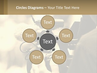 Cinematographer PowerPoint Template