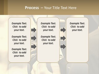 Cinematographer PowerPoint Template