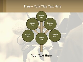 Cinematographer PowerPoint Template