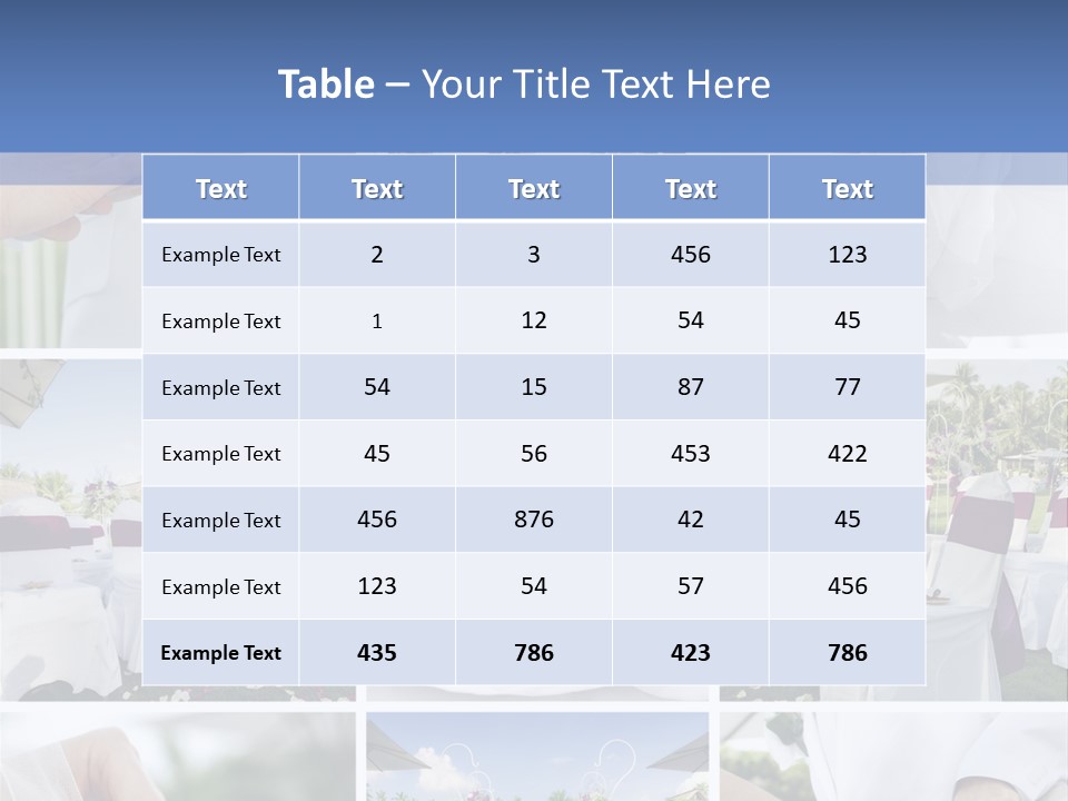 Wedding Preparation PowerPoint Template