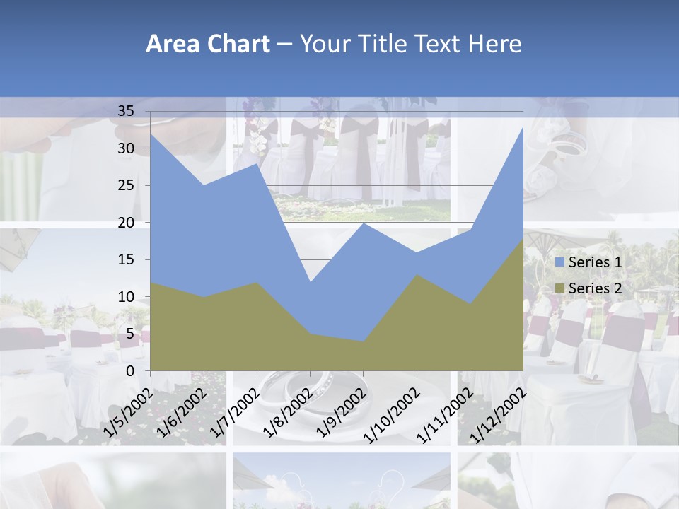 Wedding Preparation PowerPoint Template