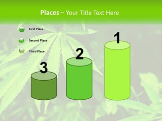 Hemp Leaf PowerPoint Template
