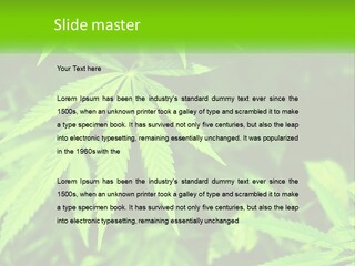 Hemp Leaf PowerPoint Template