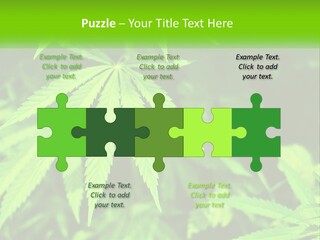 Hemp Leaf PowerPoint Template