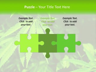 Hemp Leaf PowerPoint Template