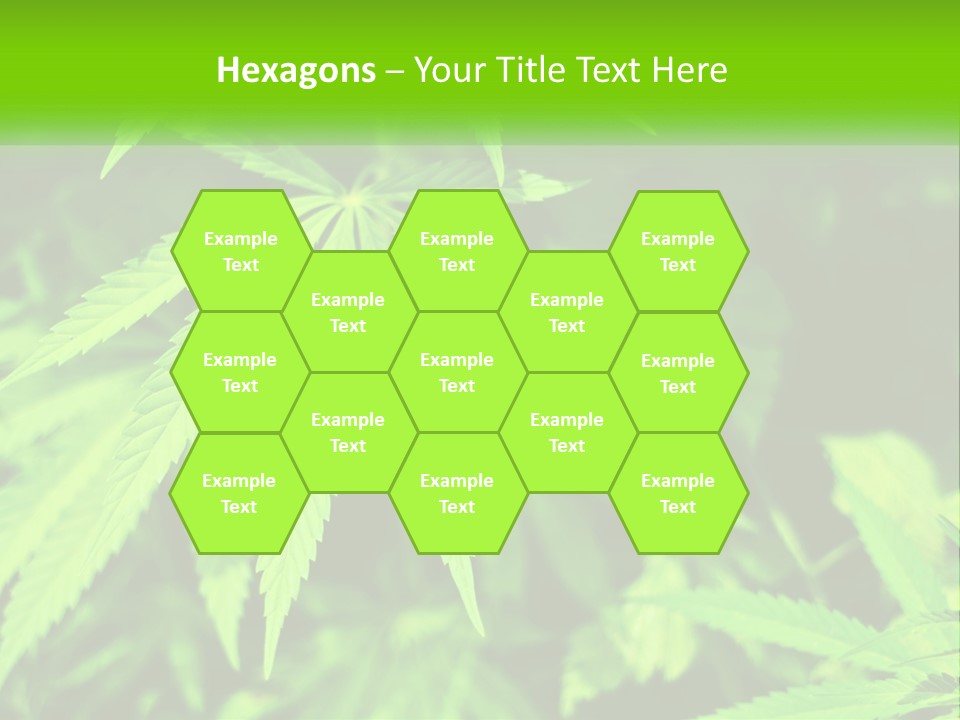 Hemp Leaf PowerPoint Template