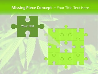 Hemp Leaf PowerPoint Template