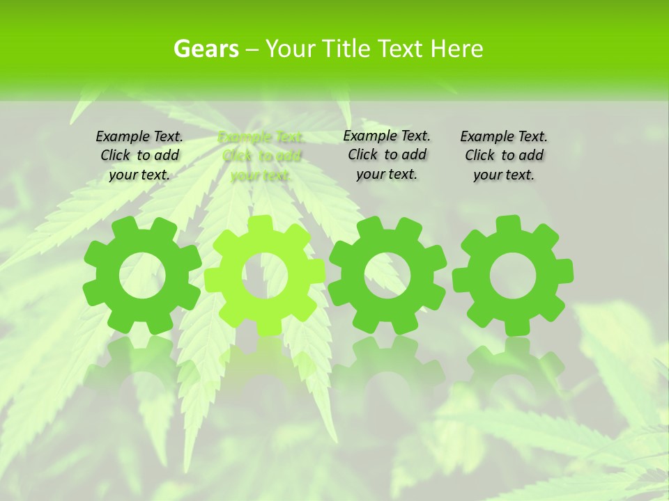 Hemp Leaf PowerPoint Template