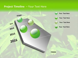 Hemp Leaf PowerPoint Template