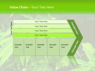 Hemp Leaf PowerPoint Template