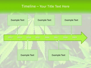 Hemp Leaf PowerPoint Template