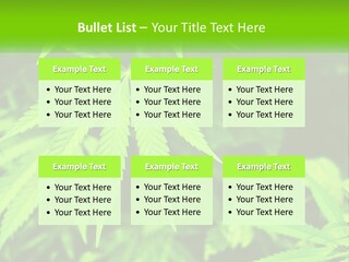 Hemp Leaf PowerPoint Template
