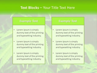 Hemp Leaf PowerPoint Template