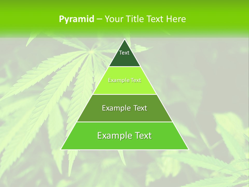 Hemp Leaf PowerPoint Template