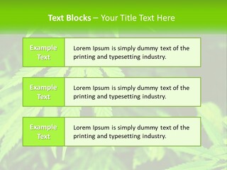 Hemp Leaf PowerPoint Template