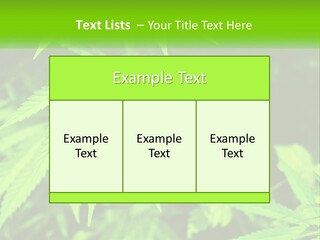Hemp Leaf PowerPoint Template
