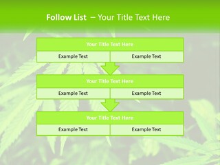 Hemp Leaf PowerPoint Template