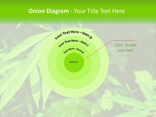 Hemp Leaf PowerPoint Template