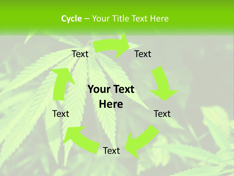 Hemp Leaf PowerPoint Template
