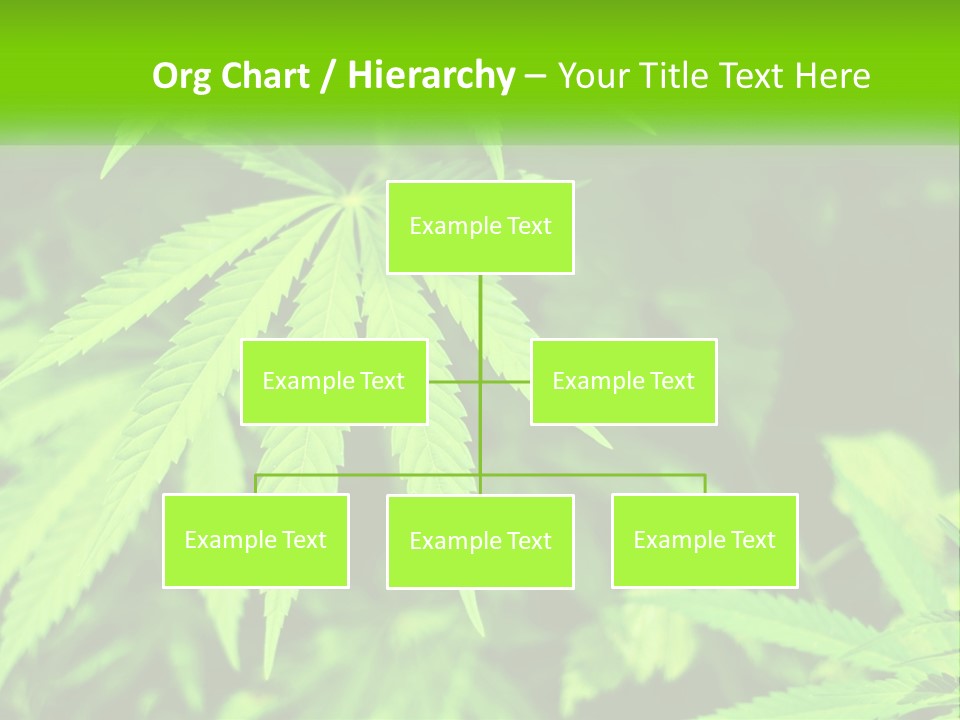 Hemp Leaf PowerPoint Template