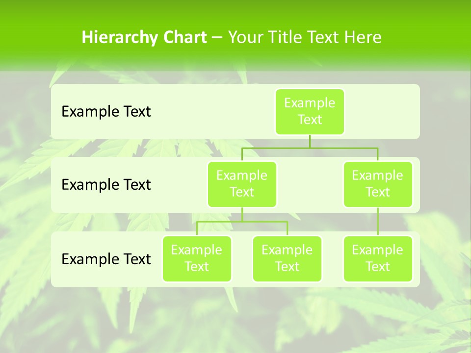 Hemp Leaf PowerPoint Template