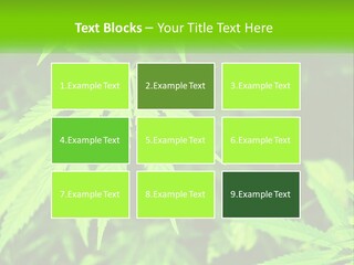 Hemp Leaf PowerPoint Template