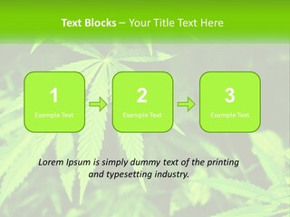 Hemp Leaf PowerPoint Template