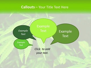 Hemp Leaf PowerPoint Template