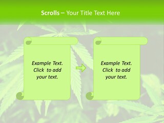 Hemp Leaf PowerPoint Template