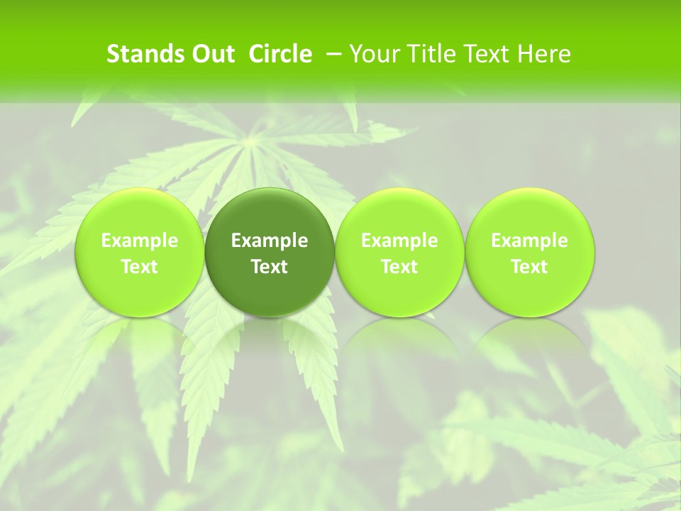 Hemp Leaf PowerPoint Template