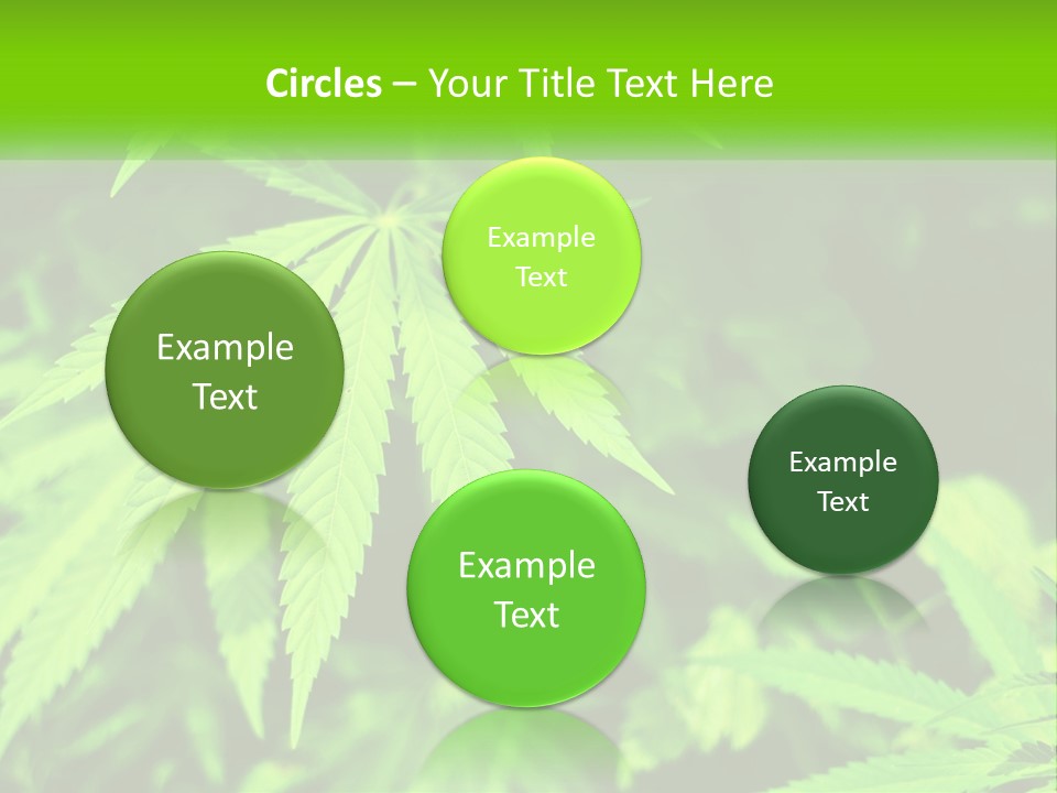 Hemp Leaf PowerPoint Template