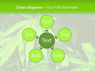 Hemp Leaf PowerPoint Template