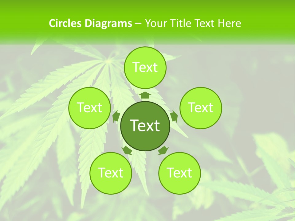Hemp Leaf PowerPoint Template