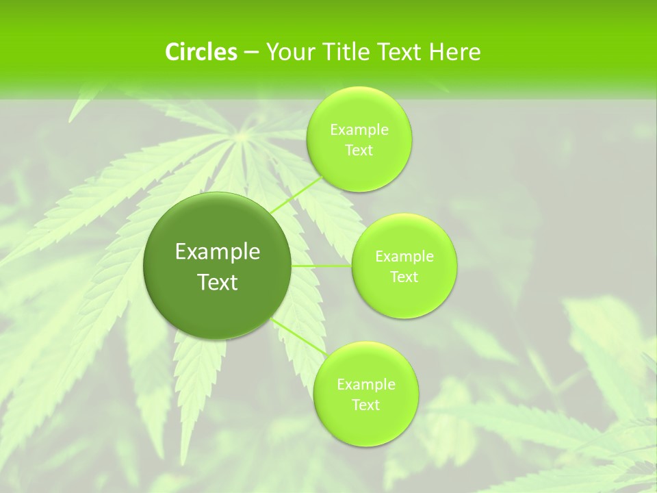 Hemp Leaf PowerPoint Template