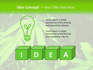 Hemp Leaf PowerPoint Template