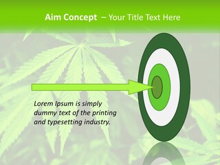 Hemp Leaf PowerPoint Template