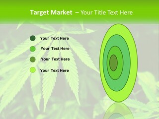Hemp Leaf PowerPoint Template