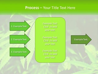 Hemp Leaf PowerPoint Template