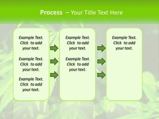 Hemp Leaf PowerPoint Template