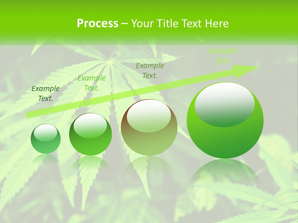 Hemp Leaf PowerPoint Template