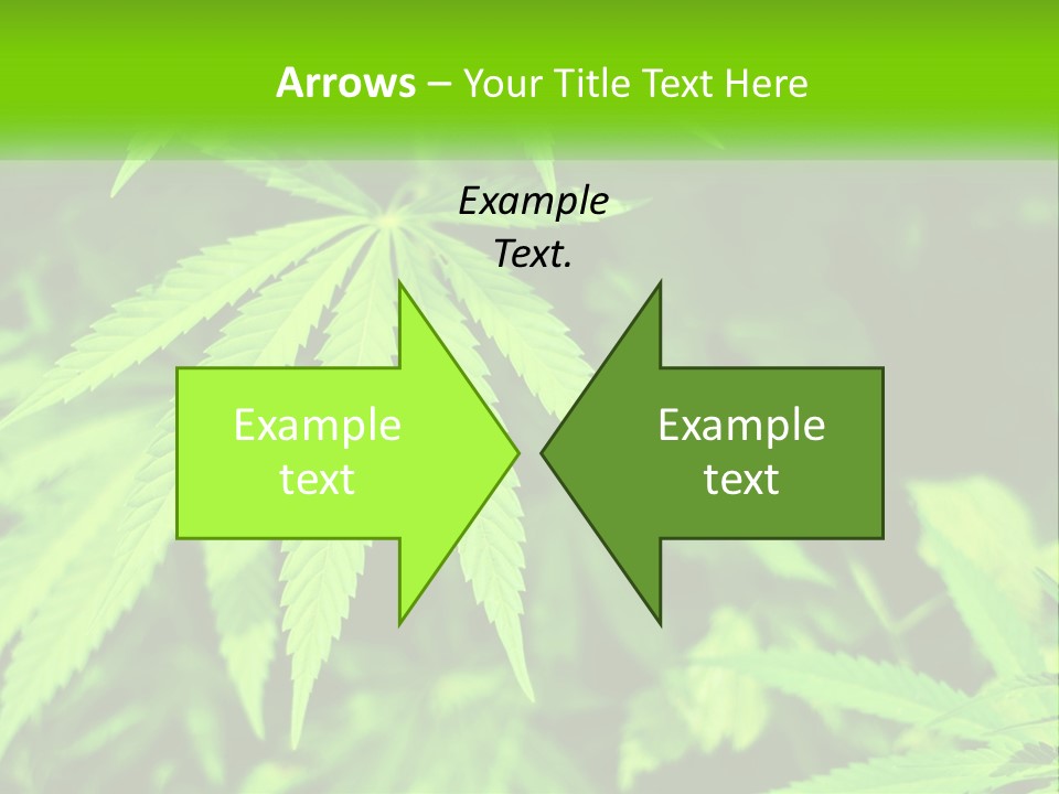 Hemp Leaf PowerPoint Template