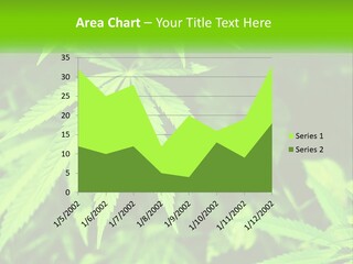 Hemp Leaf PowerPoint Template
