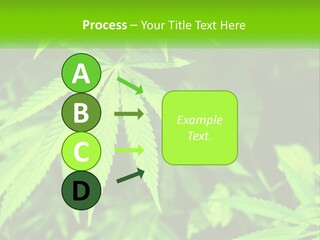 Hemp Leaf PowerPoint Template